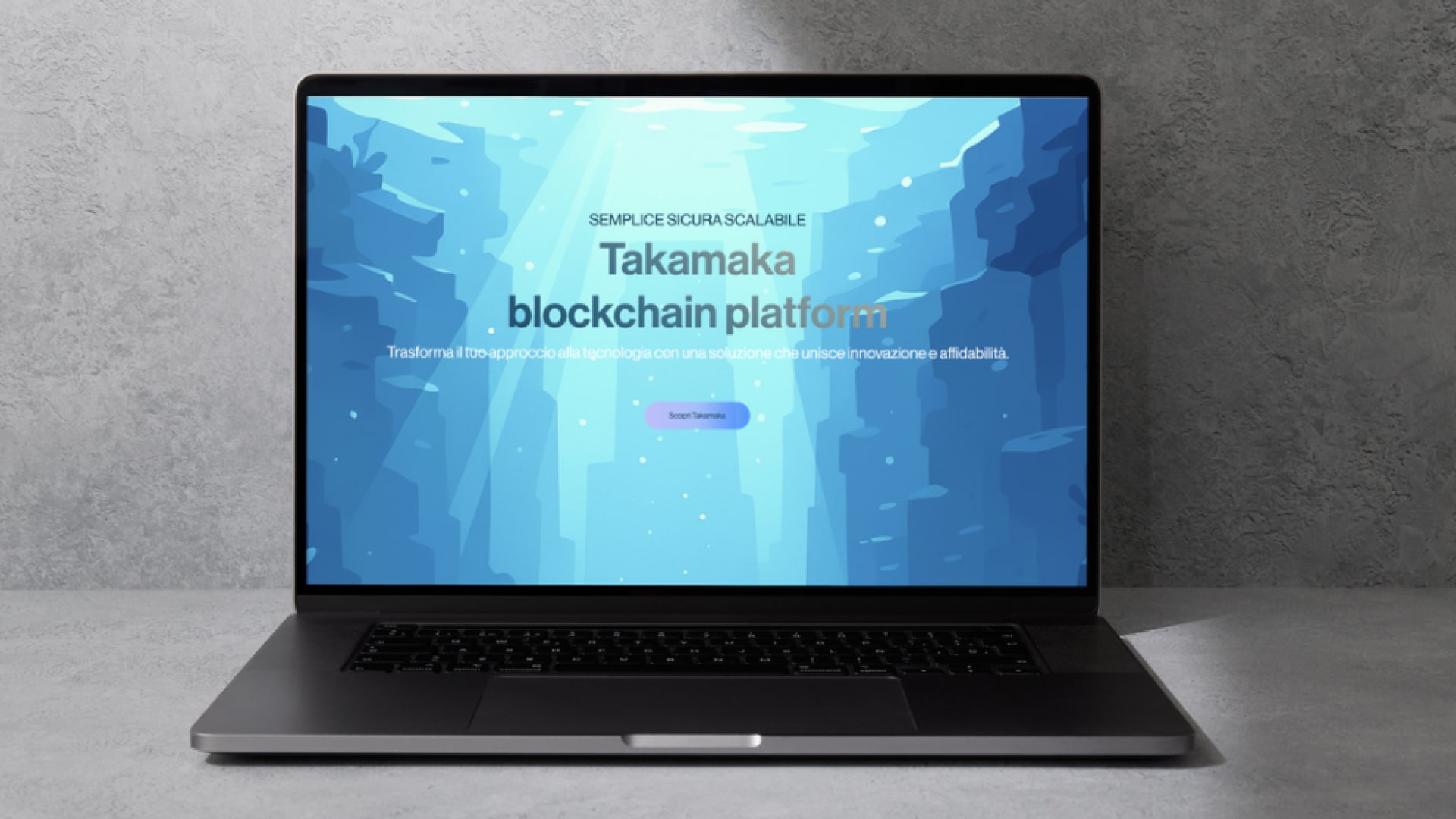 Takamaka, sezione istituzionale del sito enterprise